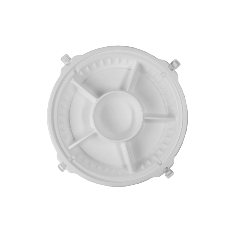 Adobe Express - file _3_.png